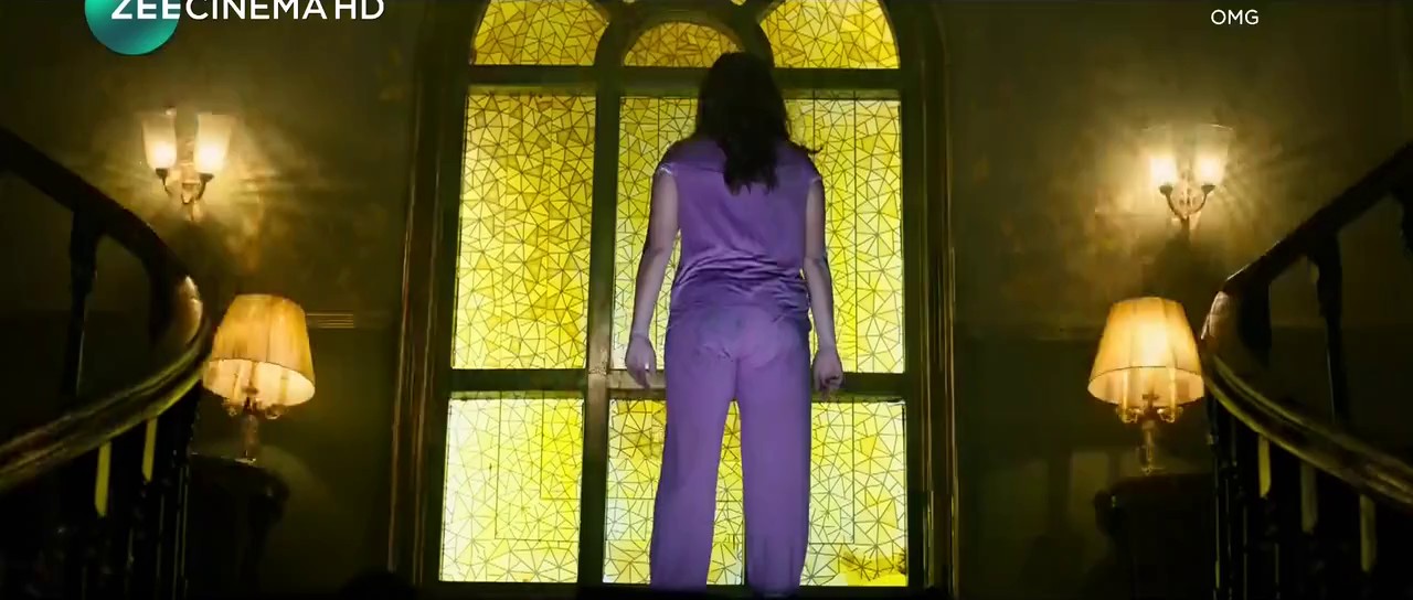 OMG - O Manchi Ghost (2024) HDTV Hindi 720p x264 AVC HE-AAC 5.1.mkv.0003
